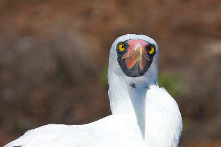 What’s Ecoventura doing about single-use plastic?